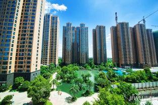 衡阳楼市最新爆料,最新爆料揭示市场新动向 第2张 衡阳楼市最新爆料,最新爆料揭示市场新动向 第2张